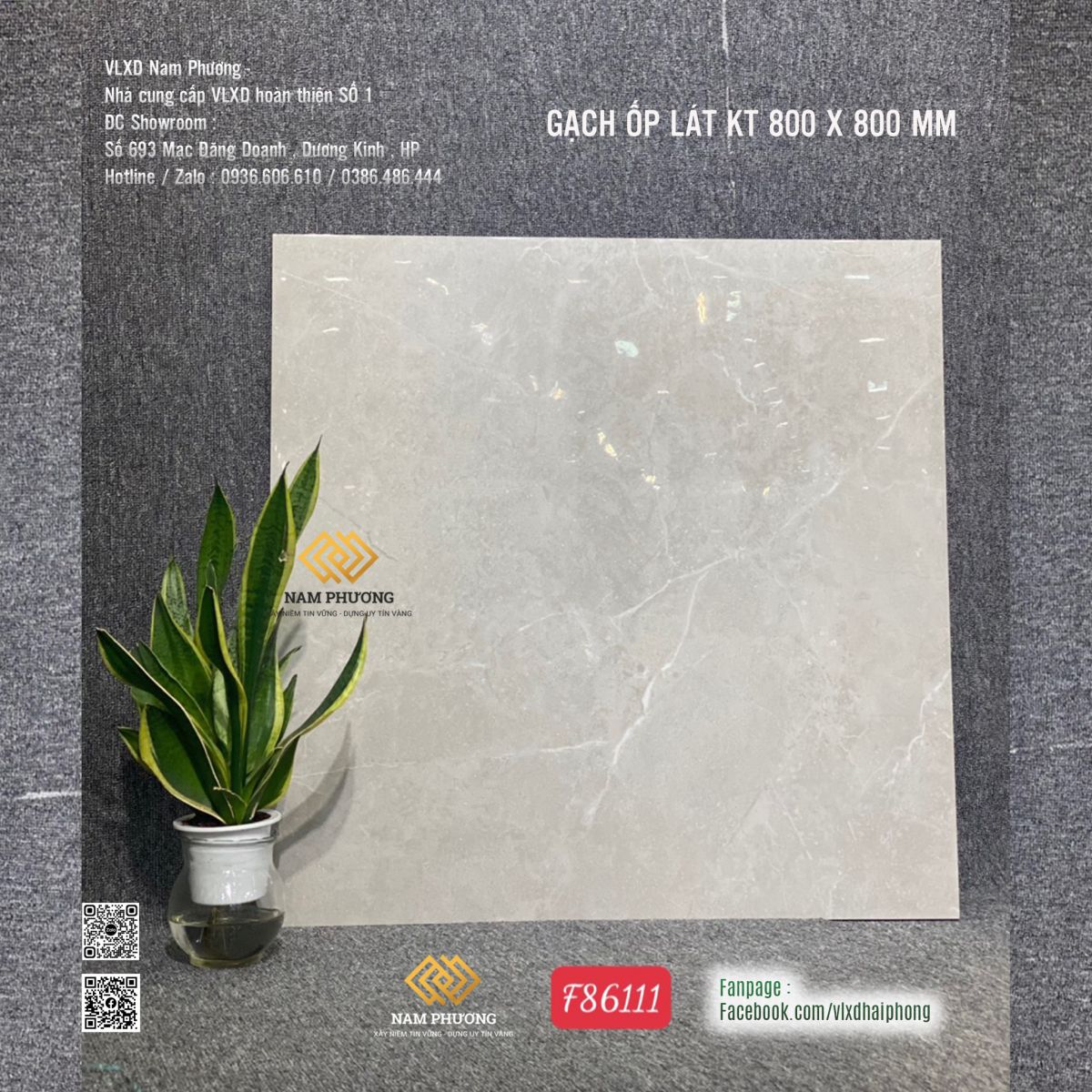 Gạch ốp lát cao cấp nhập khẩu Trung Quốc kích thước 800 x 800 mm CODE F86111 