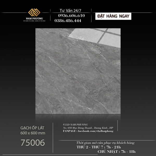 Gạch ốp lát kích thước 600 x 600 mm Code NP75006  