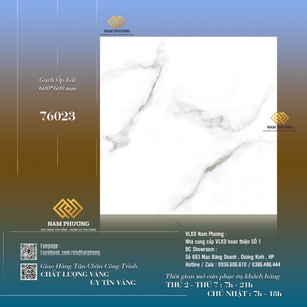 Gạch ốp lát kích thước 600*600  mm Code NP76023
