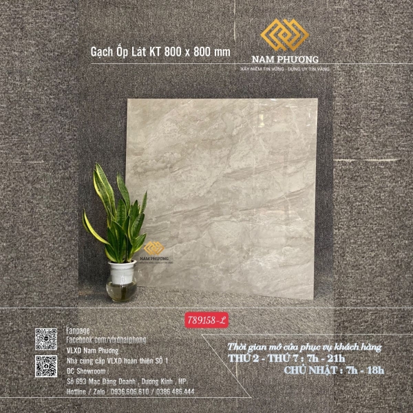 Gạch ốp lát cao cấp nhập khẩu Trung Quốc kích thước 800 x 800 mm Code T89158-L